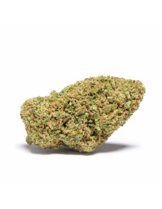 Flor de CBD Guava Tropical Skunk 2g Cannactiva